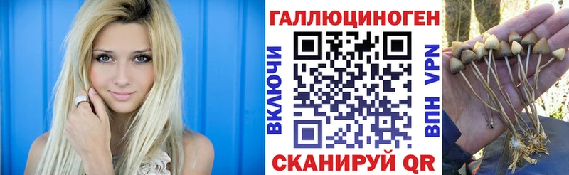 хочу наркоту  Балашиха  Псилоцибиновые грибы Psilocybe 